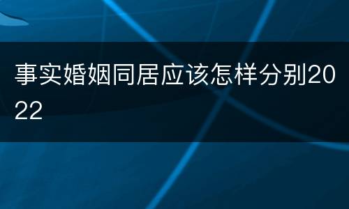 事实婚姻同居应该怎样分别2022