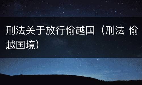 刑法关于放行偷越国（刑法 偷越国境）