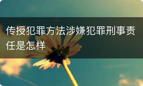 传授犯罪方法涉嫌犯罪刑事责任是怎样