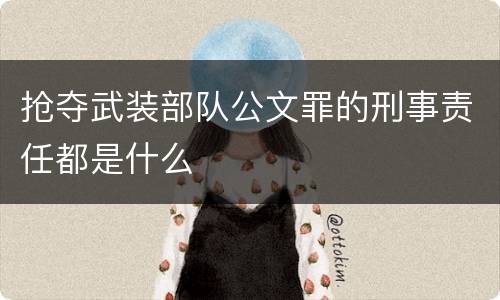 抢夺武装部队公文罪的刑事责任都是什么
