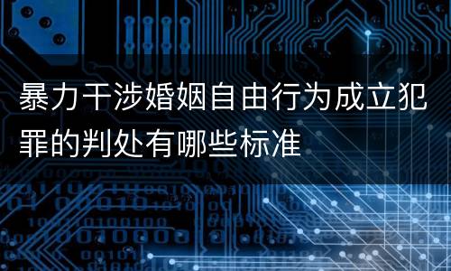 暴力干涉婚姻自由行为成立犯罪的判处有哪些标准