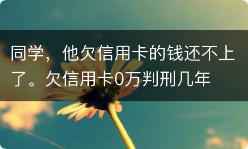 同学，他欠信用卡的钱还不上了。欠信用卡0万判刑几年