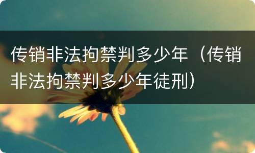 传销非法拘禁判多少年（传销非法拘禁判多少年徒刑）