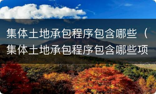 集体土地承包程序包含哪些（集体土地承包程序包含哪些项目）
