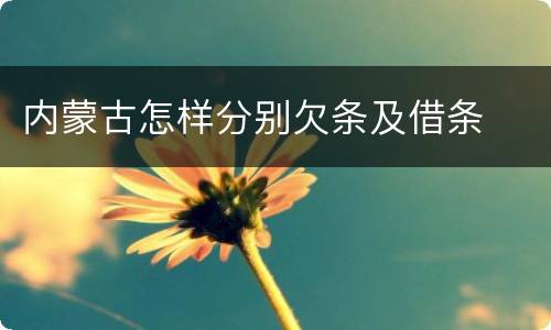 内蒙古怎样分别欠条及借条