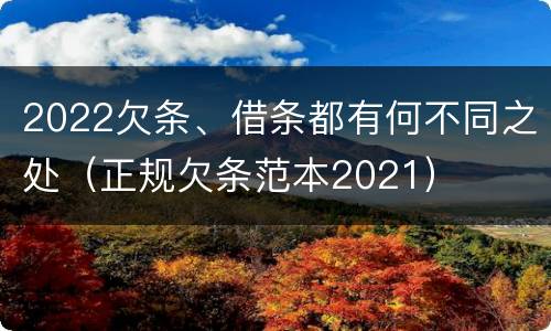 2022欠条、借条都有何不同之处（正规欠条范本2021）