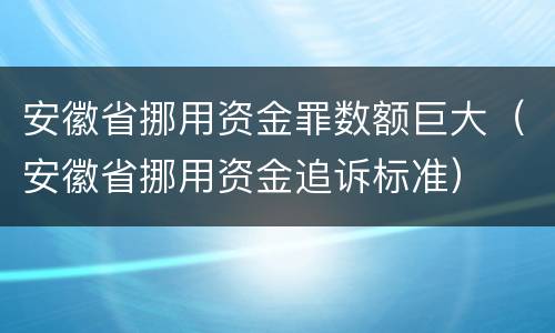 安徽省挪用资金罪数额巨大（安徽省挪用资金追诉标准）