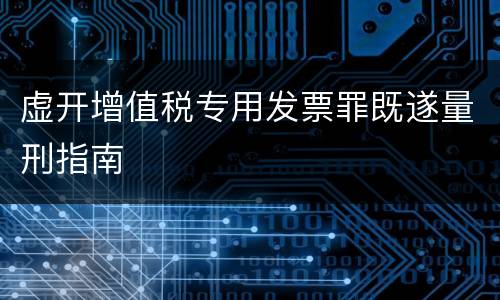 虚开增值税专用发票罪既遂量刑指南