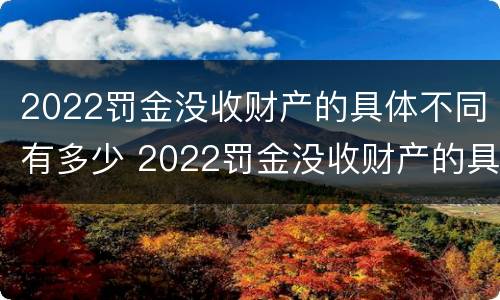 2022罚金没收财产的具体不同有多少 2022罚金没收财产的具体不同有多少项