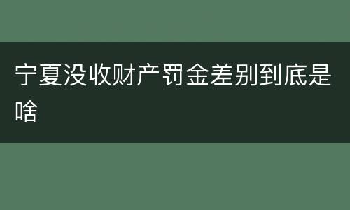 宁夏没收财产罚金差别到底是啥