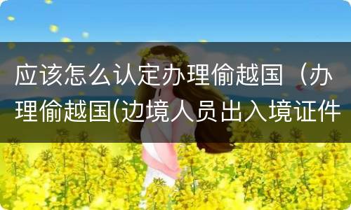 应该怎么认定办理偷越国(办理偷越国(边境人员出入境证件罪)