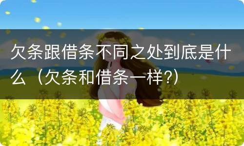 欠条跟借条不同之处到底是什么(欠条和借条一样?)