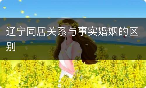 辽宁同居关系与事实婚姻的区别