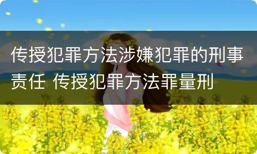 传授犯罪方法涉嫌犯罪的刑事责任 传授犯罪方法罪量刑