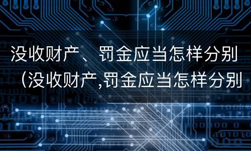 没收财产、罚金应当怎样分别（没收财产,罚金应当怎样分别缴纳）