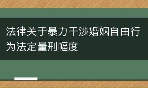法律关于暴力干涉婚姻自由行为法定量刑幅度