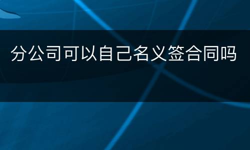 分公司可以自己名义签合同吗