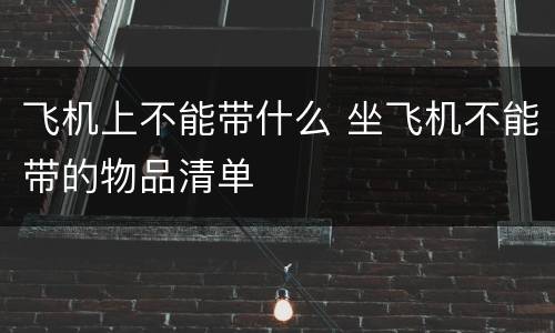 飞机上不能带什么 坐飞机不能带的物品清单