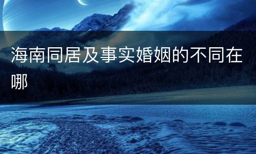 海南同居及事实婚姻的不同在哪