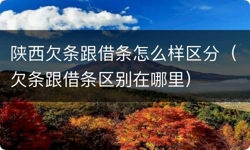 陕西欠条跟借条怎么样区分（欠条跟借条区别在哪里）