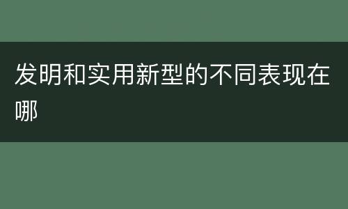 发明和实用新型的不同表现在哪