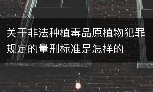 关于非法种植毒品原植物犯罪规定的量刑标准是怎样的