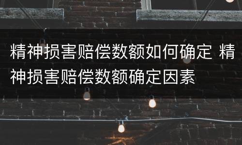 精神损害赔偿数额如何确定 精神损害赔偿数额确定因素