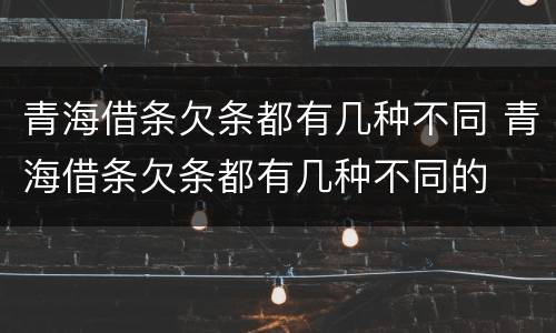 青海借条欠条都有几种不同 青海借条欠条都有几种不同的