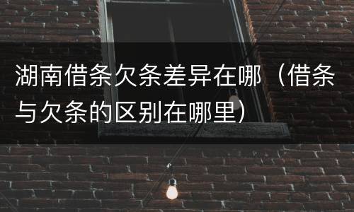湖南借条欠条差异在哪（借条与欠条的区别在哪里）