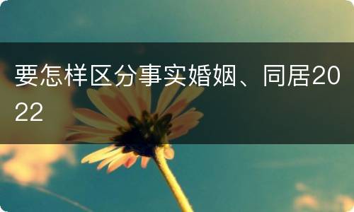 要怎样区分事实婚姻、同居2022