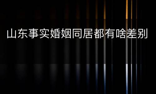 山东事实婚姻同居都有啥差别