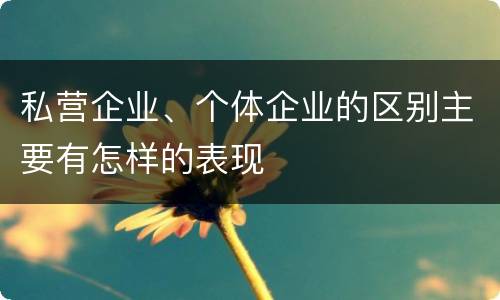 私营企业、个体企业的区别主要有怎样的表现