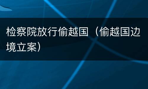 检察院放行偷越国（偷越国边境立案）
