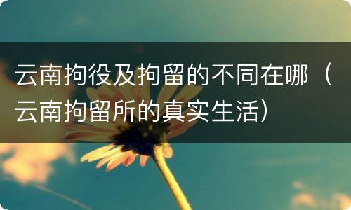 云南拘役及拘留的不同在哪（云南拘留所的真实生活）