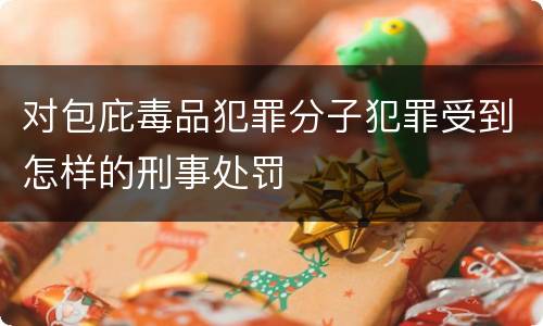 对包庇毒品犯罪分子犯罪受到怎样的刑事处罚