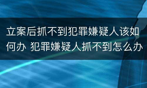 立案后抓不到犯罪嫌疑人该如何办 犯罪嫌疑人抓不到怎么办