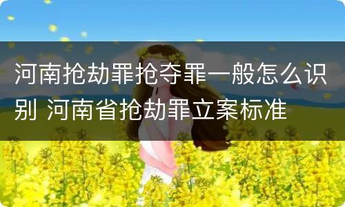 河南抢劫罪抢夺罪一般怎么识别 河南省抢劫罪立案标准