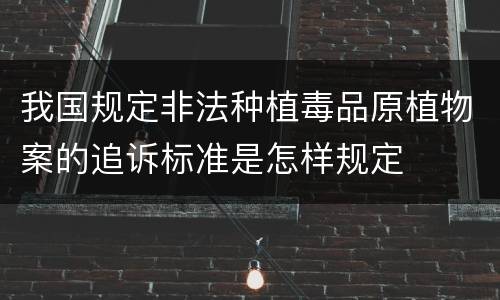 我国规定非法种植毒品原植物案的追诉标准是怎样规定