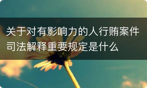 关于对有影响力的人行贿案件司法解释重要规定是什么