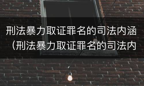 刑法暴力取证罪名的司法内涵（刑法暴力取证罪名的司法内涵包括）