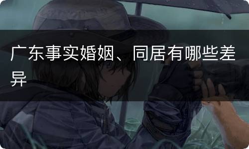 广东事实婚姻、同居有哪些差异