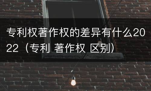专利权著作权的差异有什么2022（专利 著作权 区别）