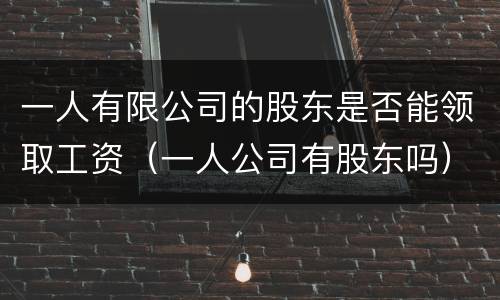 一人有限公司的股东是否能领取工资（一人公司有股东吗）