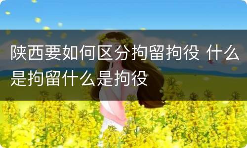 陕西要如何区分拘留拘役 什么是拘留什么是拘役