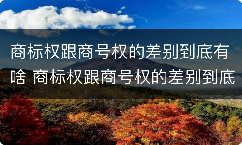 商标权跟商号权的差别到底有啥 商标权跟商号权的差别到底有啥不同