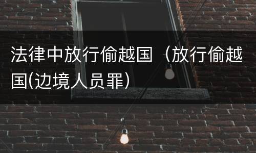 法律中放行偷越国（放行偷越国(边境人员罪）