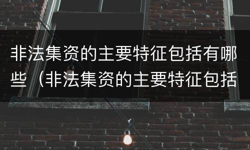 非法集资的主要特征包括有哪些（非法集资的主要特征包括有哪些）