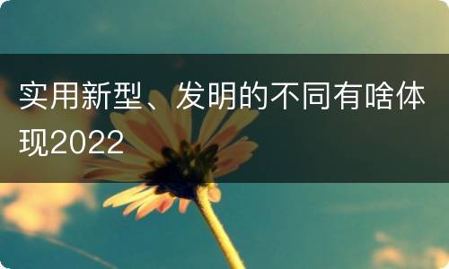 实用新型、发明的不同有啥体现2022