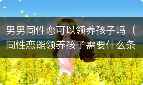 男男同性恋可以领养孩子吗（同性恋能领养孩子需要什么条件）