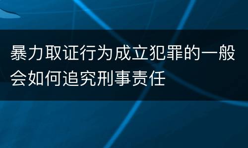 暴力取证行为成立犯罪的一般会如何追究刑事责任